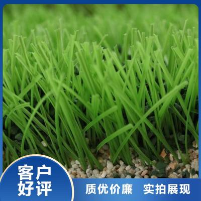 黑龙江省鹤岗市|工农|萝北|牡丹江|齐齐哈尔|哈尔滨|大庆|绥化PVC地板-友建(更新时间:2025-07-06 09:33:39)