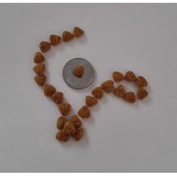 合肥环氧树脂地坪-合肥永晨地坪-环氧树脂地坪施工工程