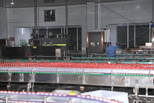 贵阳好彩头食品新增生产线正式投产