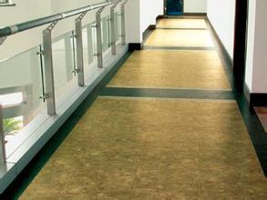 塑胶地板003-哈尔滨晟阳建筑装饰(网站出售)